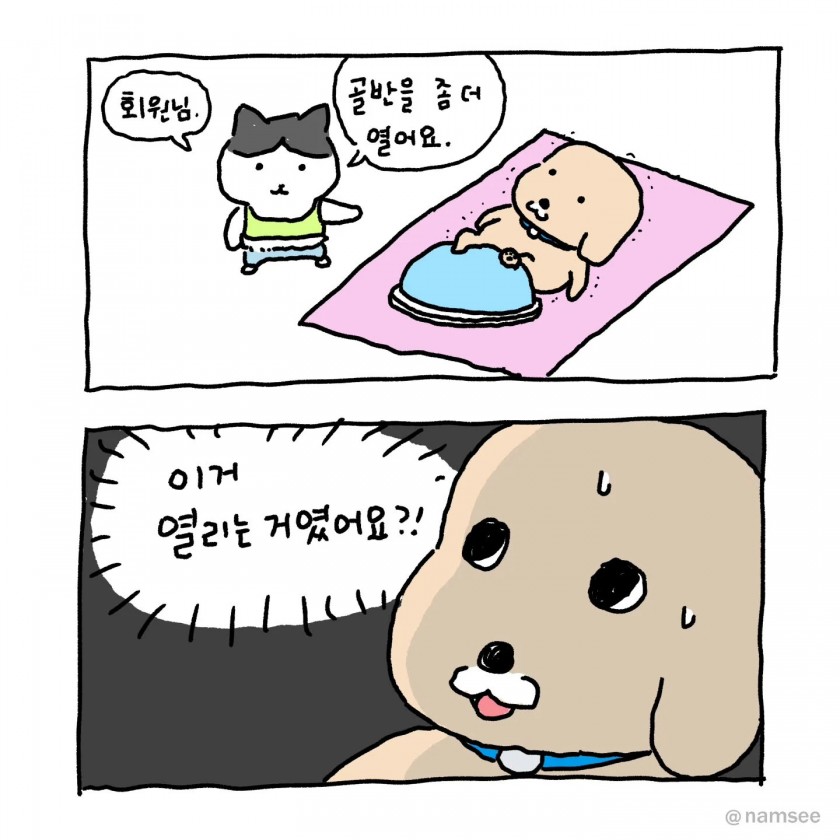 1.jpg