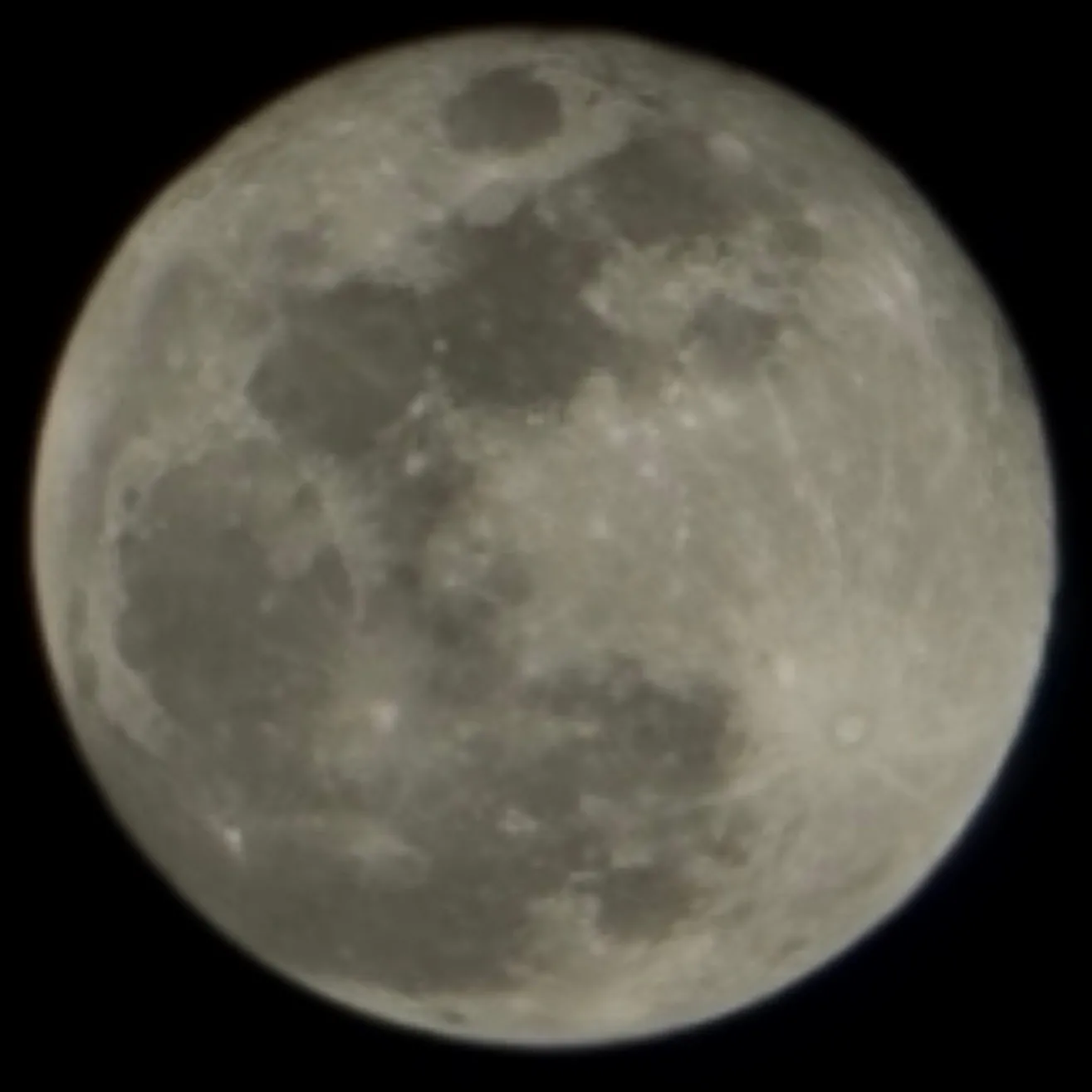 2026-02-02 21.54.25.jpg.webp