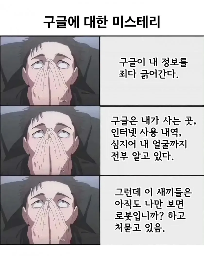 444.jpg.webp