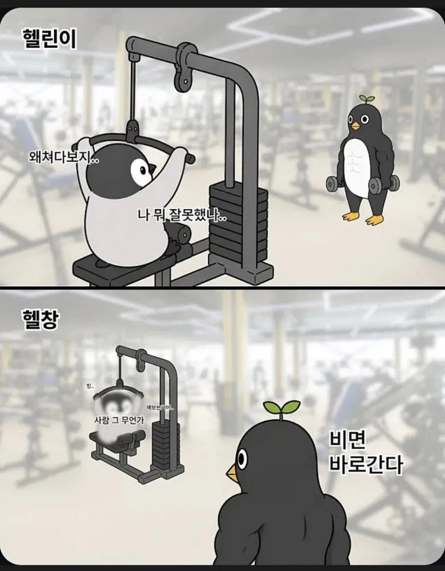 333.webp