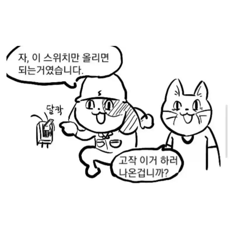 unnamed (25).webp