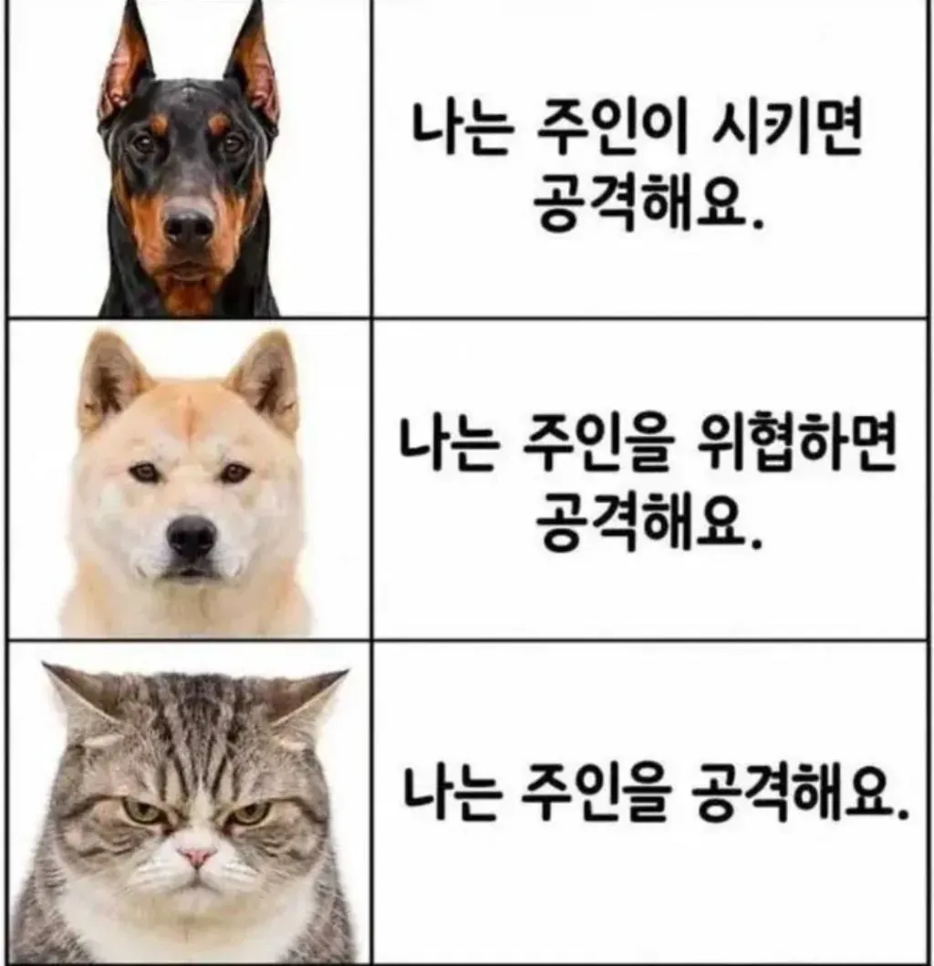 24126accdda8610c82501610.webp